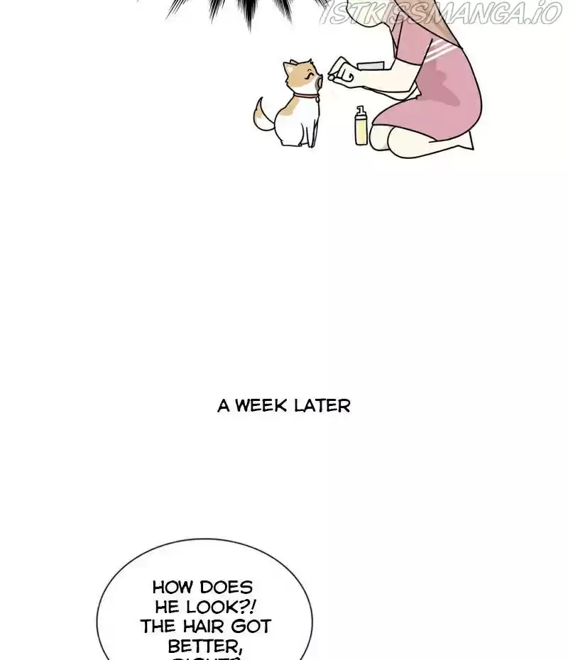 The Dog Diaries Chapter 23