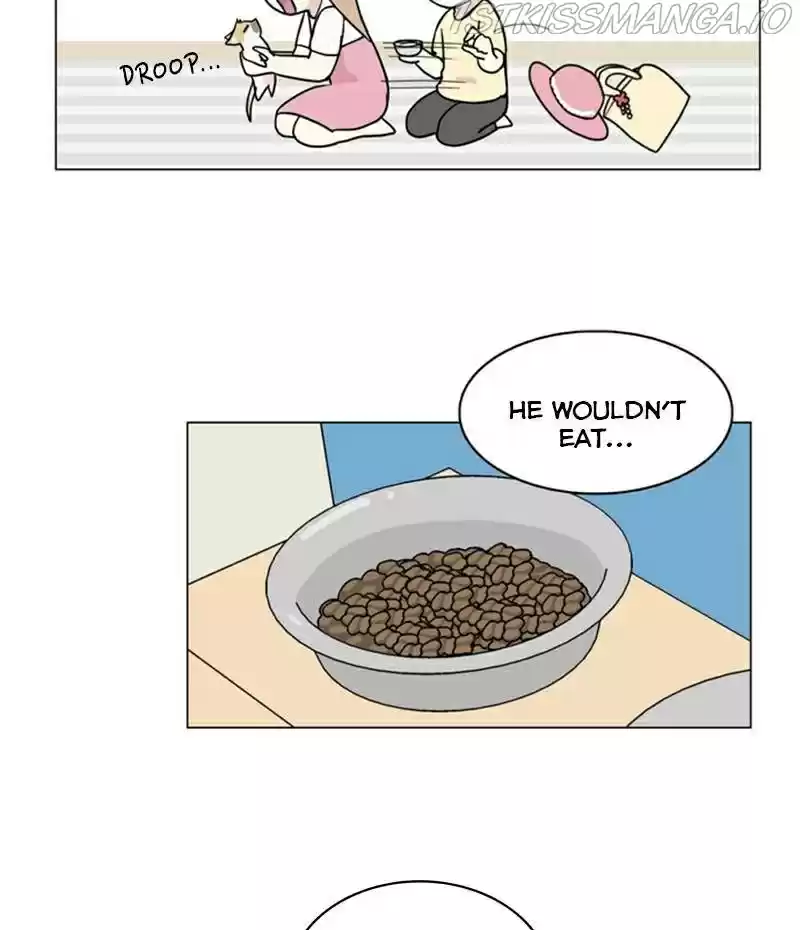 The Dog Diaries Chapter 23