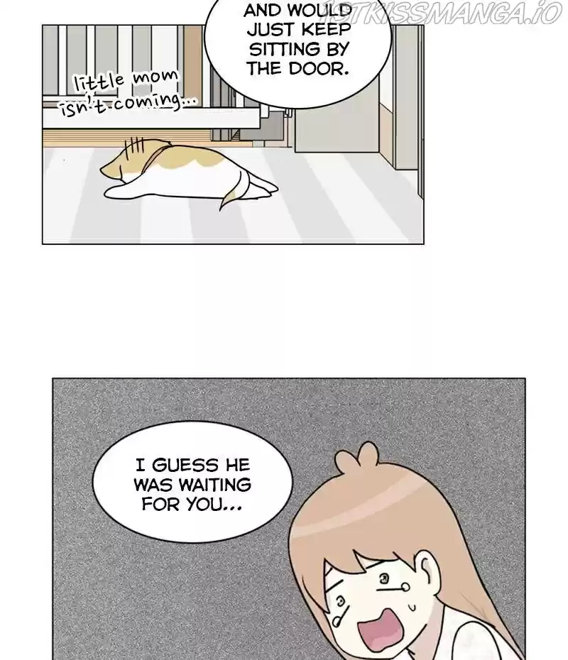 The Dog Diaries Chapter 23