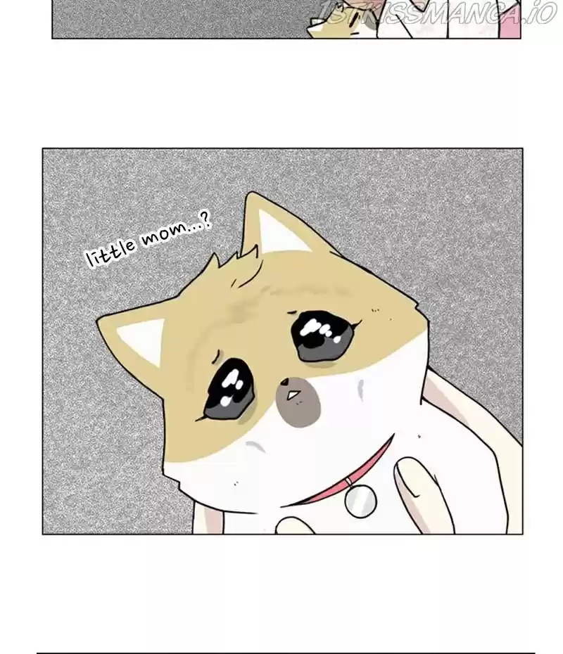 The Dog Diaries Chapter 23