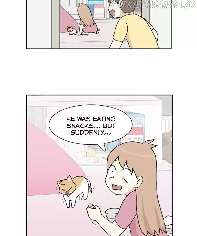 The Dog Diaries Chapter 23