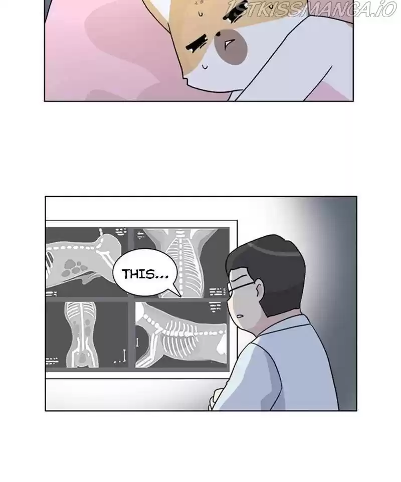 The Dog Diaries Chapter 24