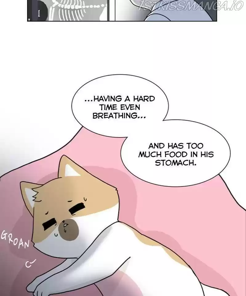 The Dog Diaries Chapter 24