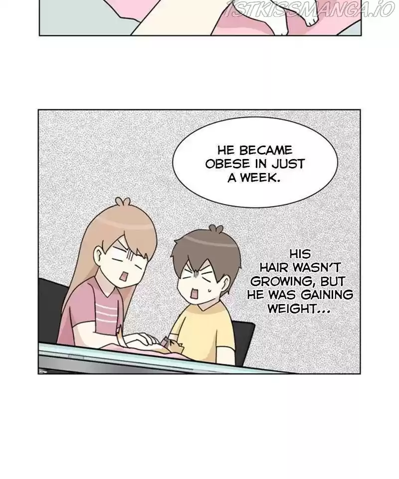 The Dog Diaries Chapter 24