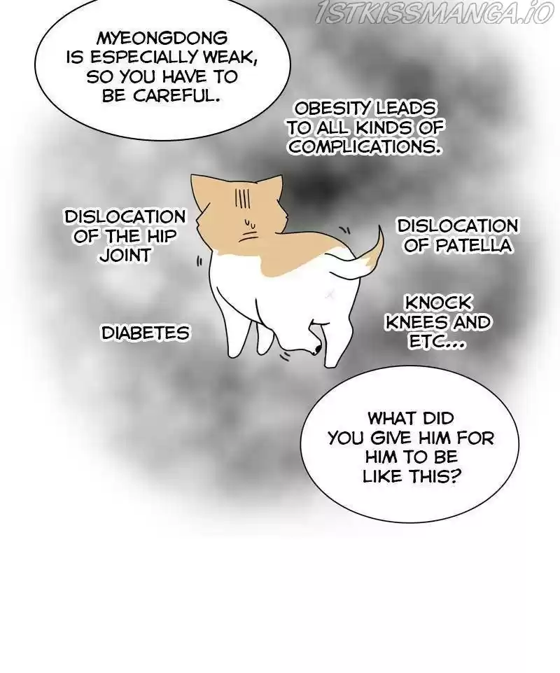 The Dog Diaries Chapter 24