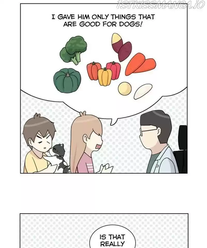 The Dog Diaries Chapter 24