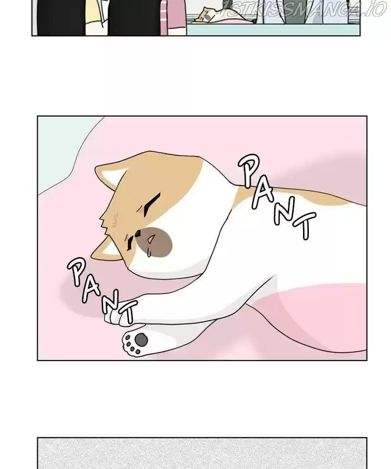 The Dog Diaries Chapter 24