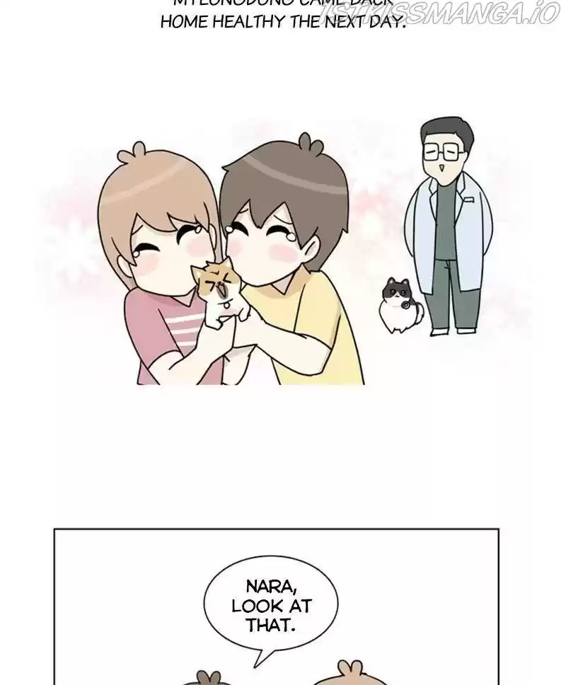 The Dog Diaries Chapter 24