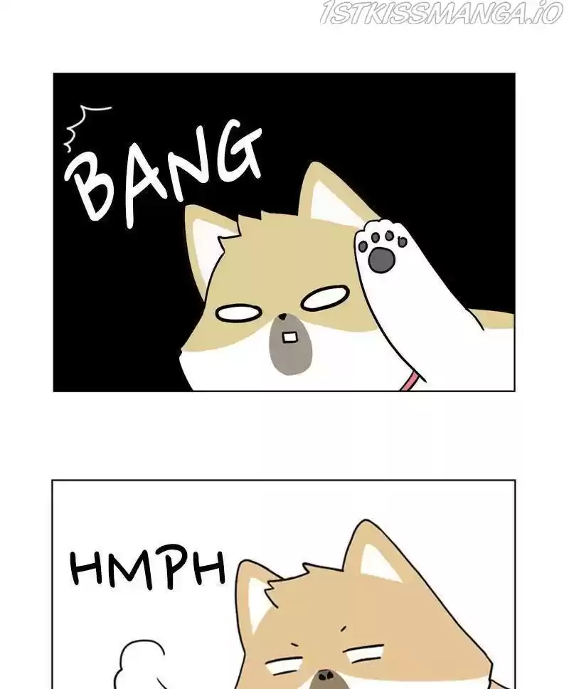 The Dog Diaries Chapter 24