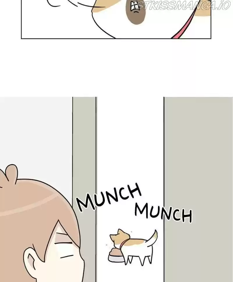 The Dog Diaries Chapter 24