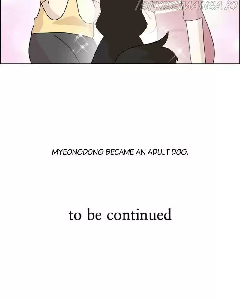 The Dog Diaries Chapter 24