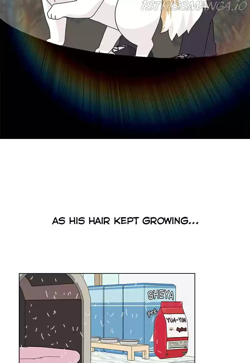 The Dog Diaries Chapter 25