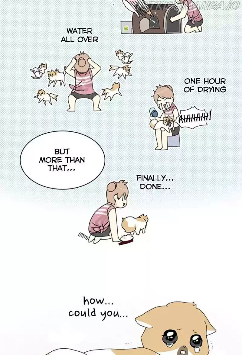 The Dog Diaries Chapter 25