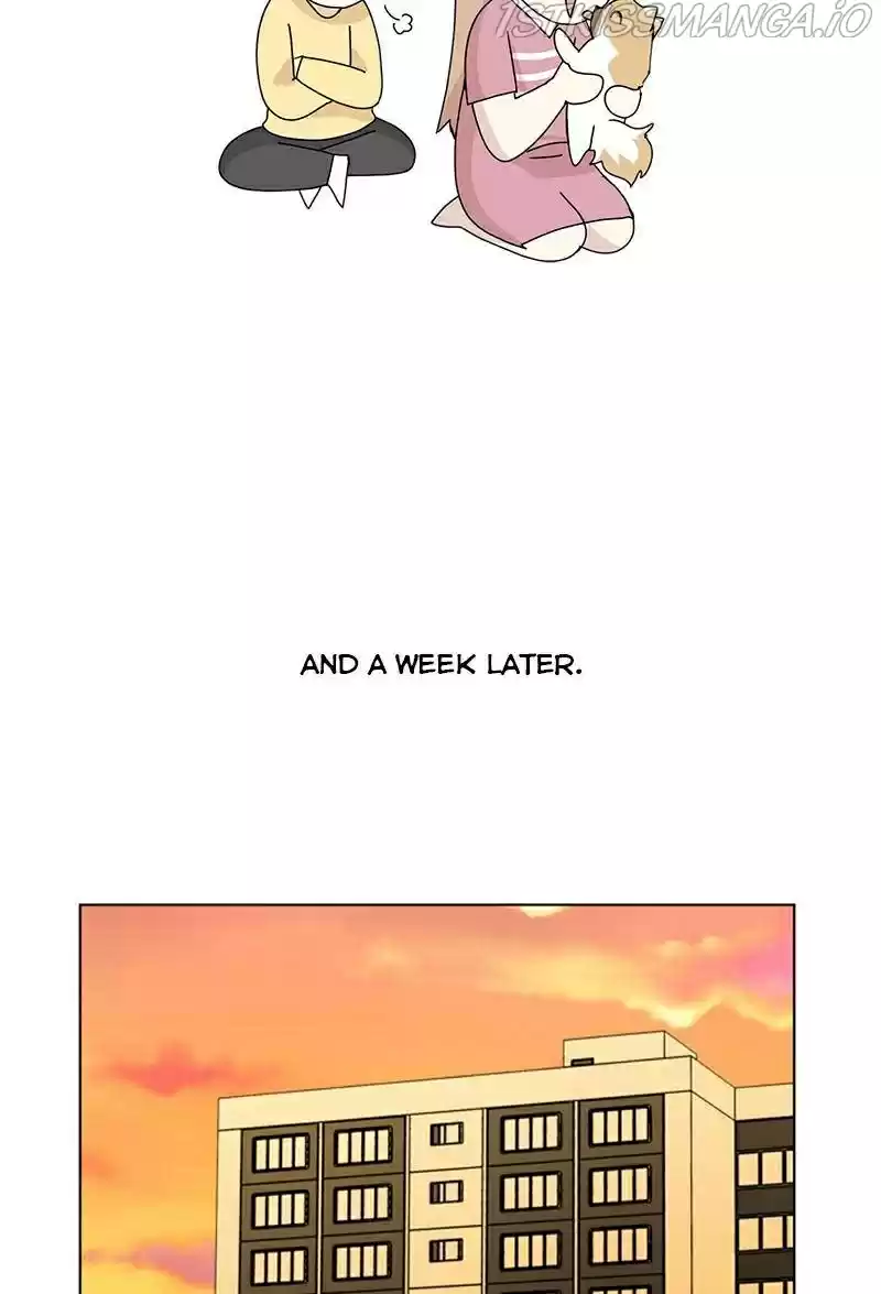 The Dog Diaries Chapter 25