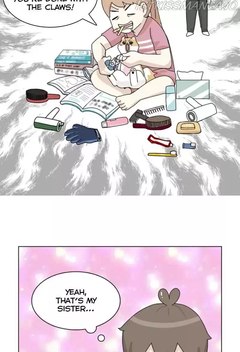 The Dog Diaries Chapter 25