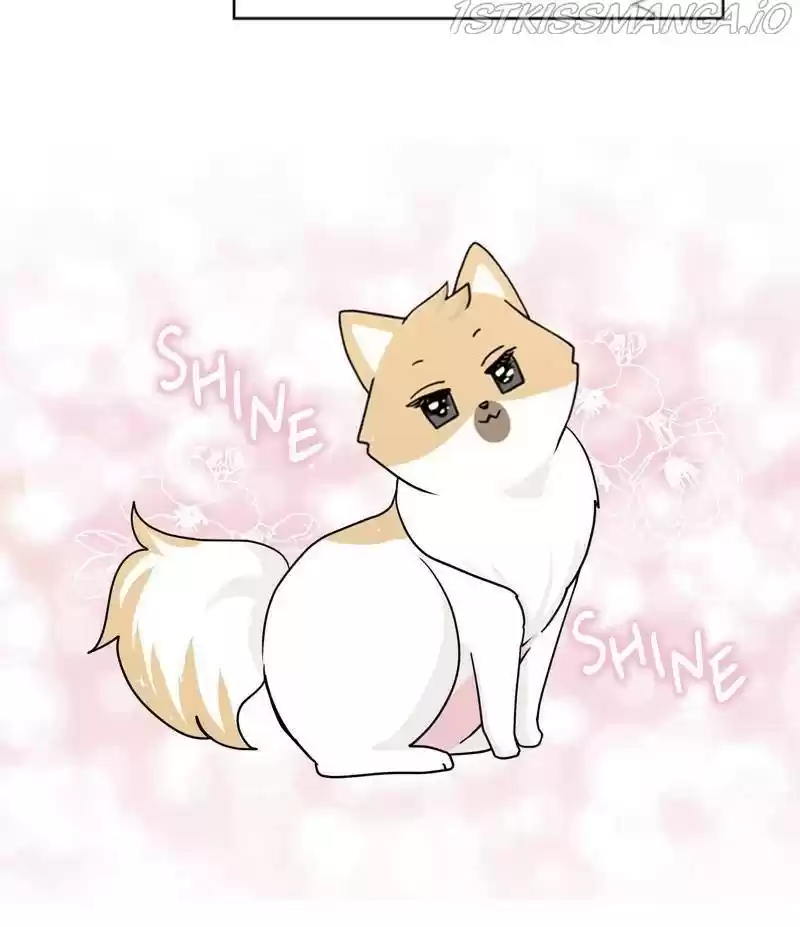 The Dog Diaries Chapter 26