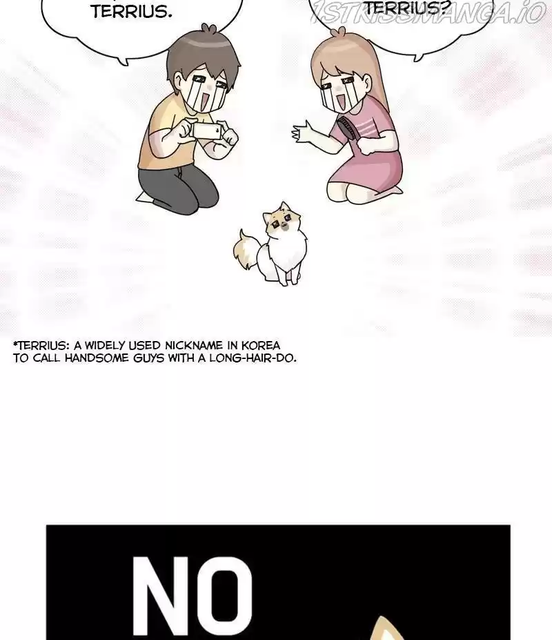 The Dog Diaries Chapter 26