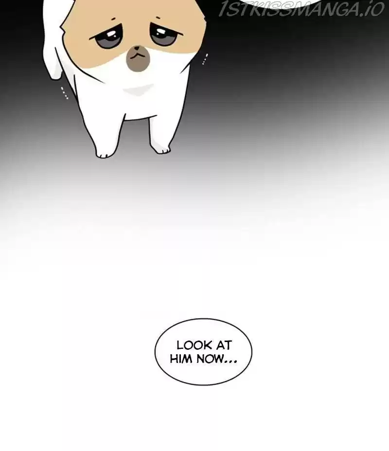 The Dog Diaries Chapter 26