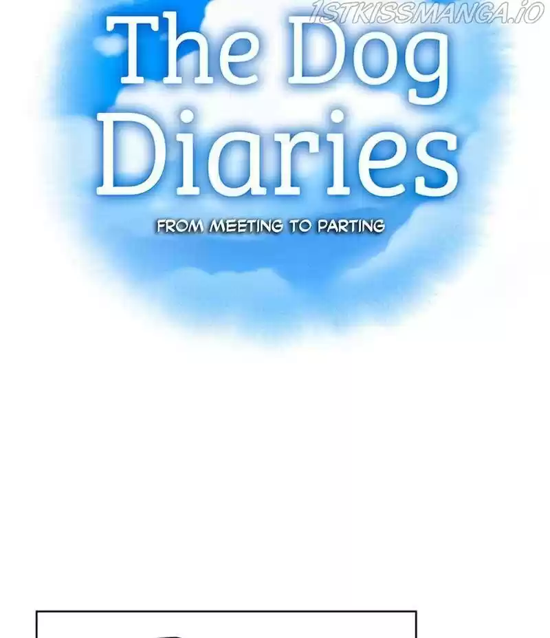 The Dog Diaries Chapter 26