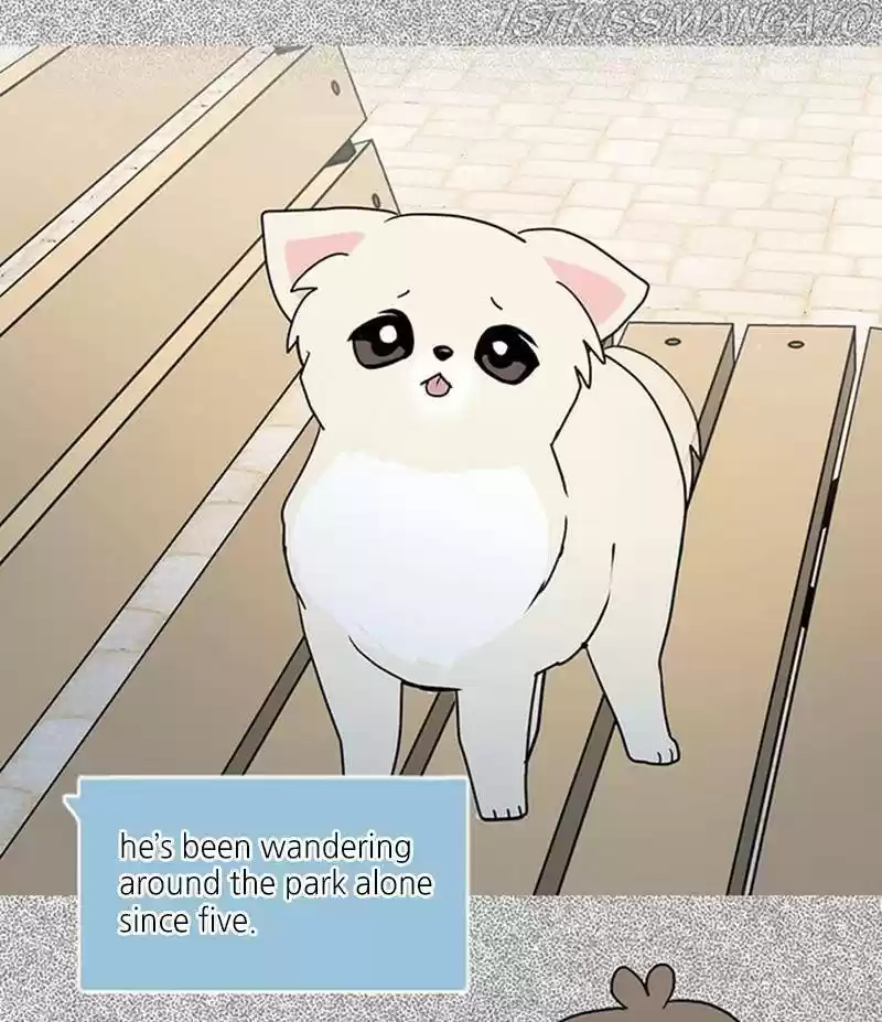 The Dog Diaries Chapter 26