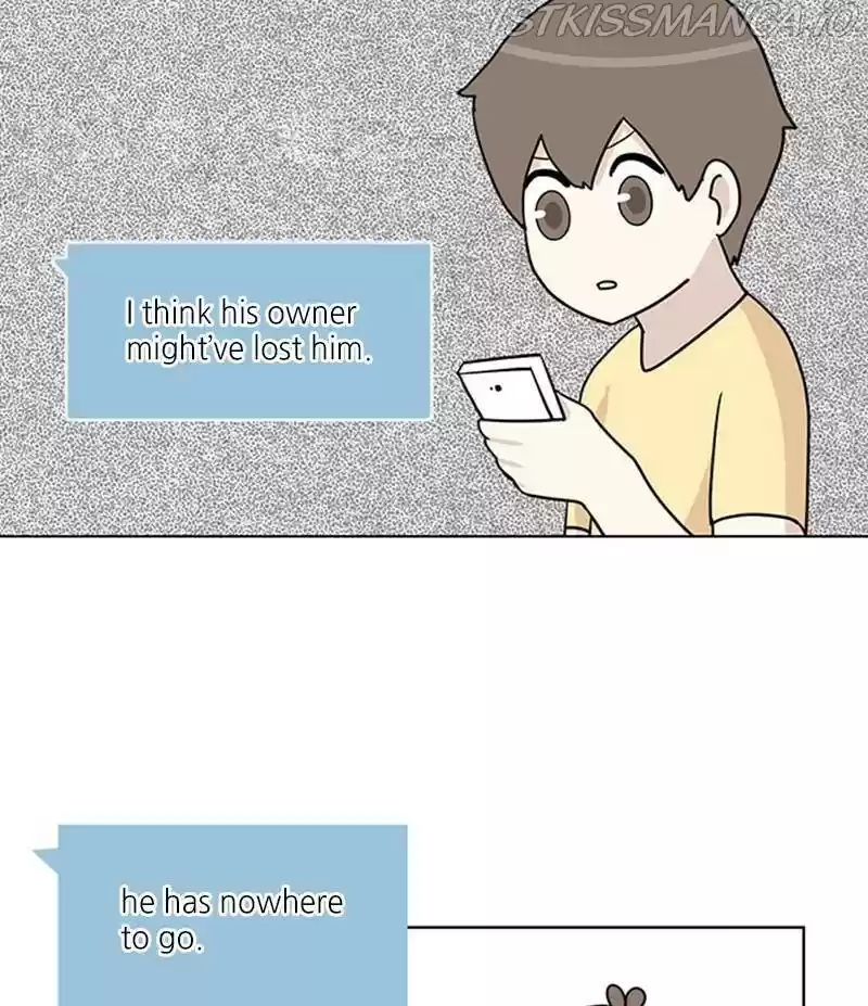 The Dog Diaries Chapter 26