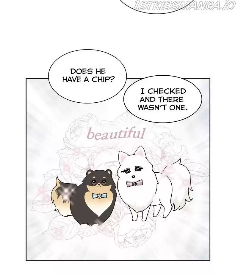 The Dog Diaries Chapter 26