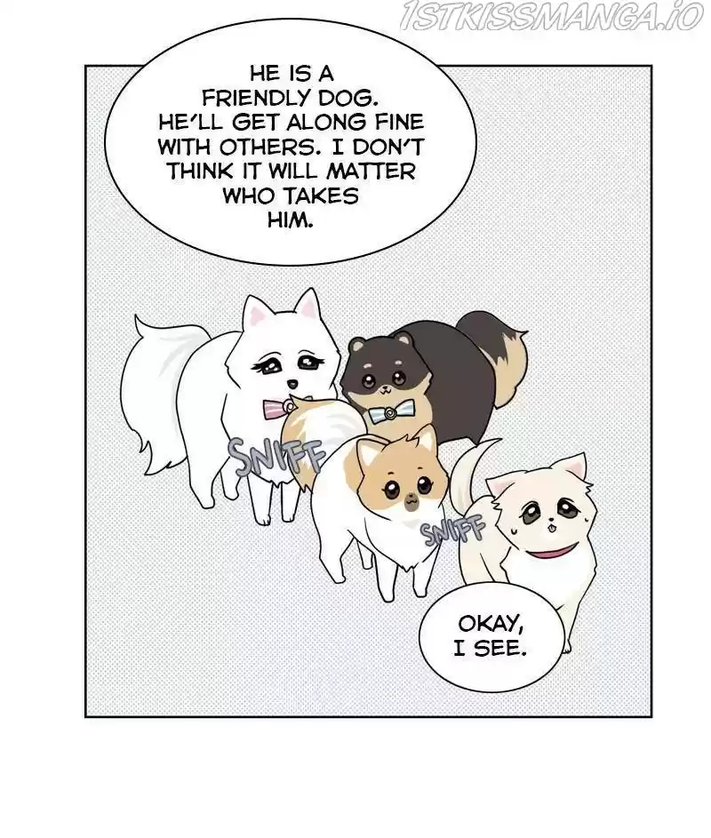 The Dog Diaries Chapter 26