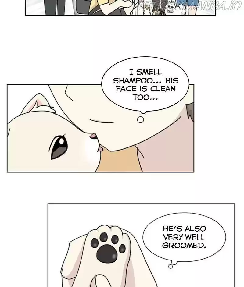 The Dog Diaries Chapter 26