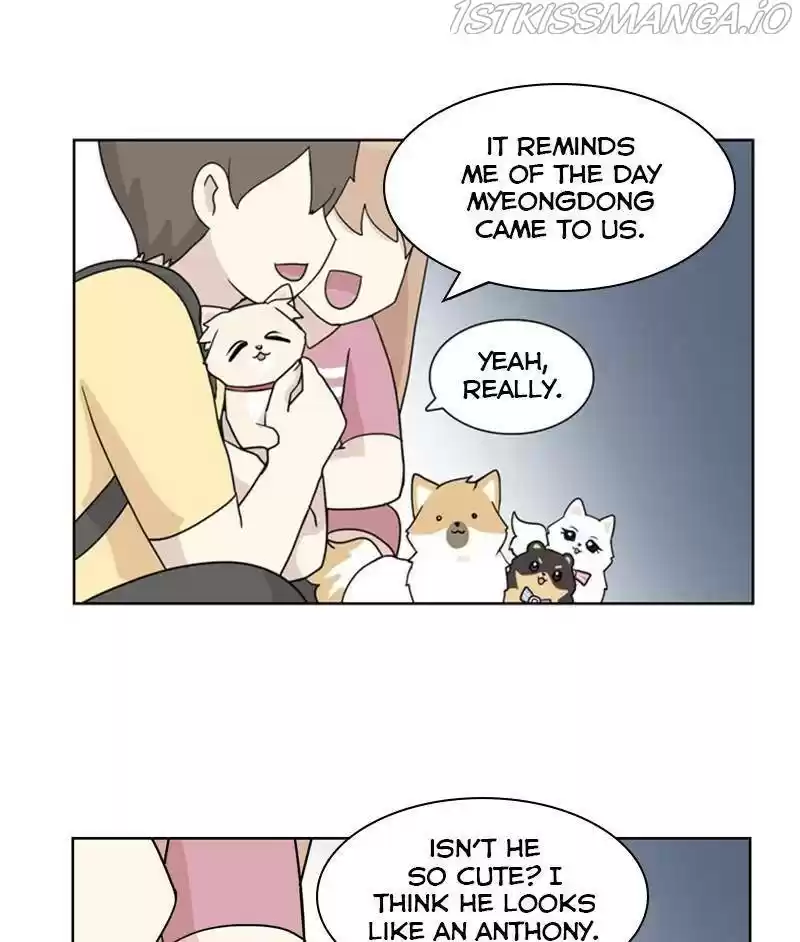 The Dog Diaries Chapter 26