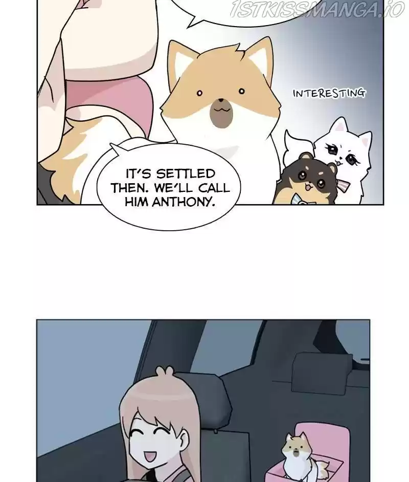 The Dog Diaries Chapter 26