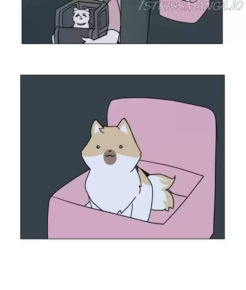 The Dog Diaries Chapter 26