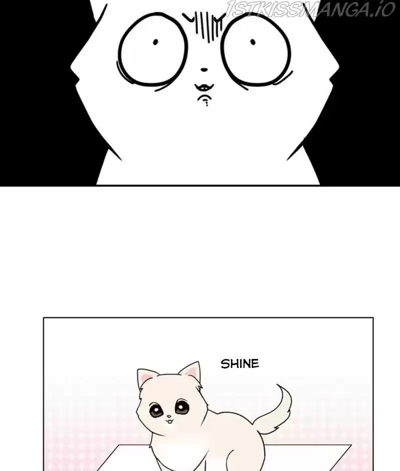 The Dog Diaries Chapter 26