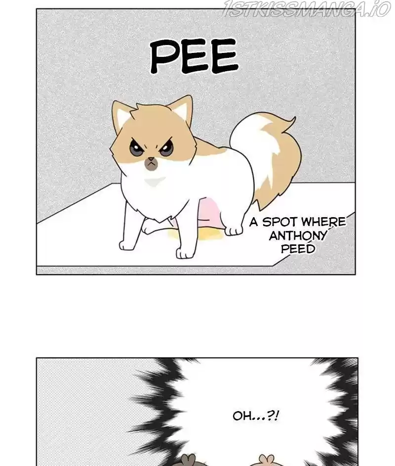 The Dog Diaries Chapter 26