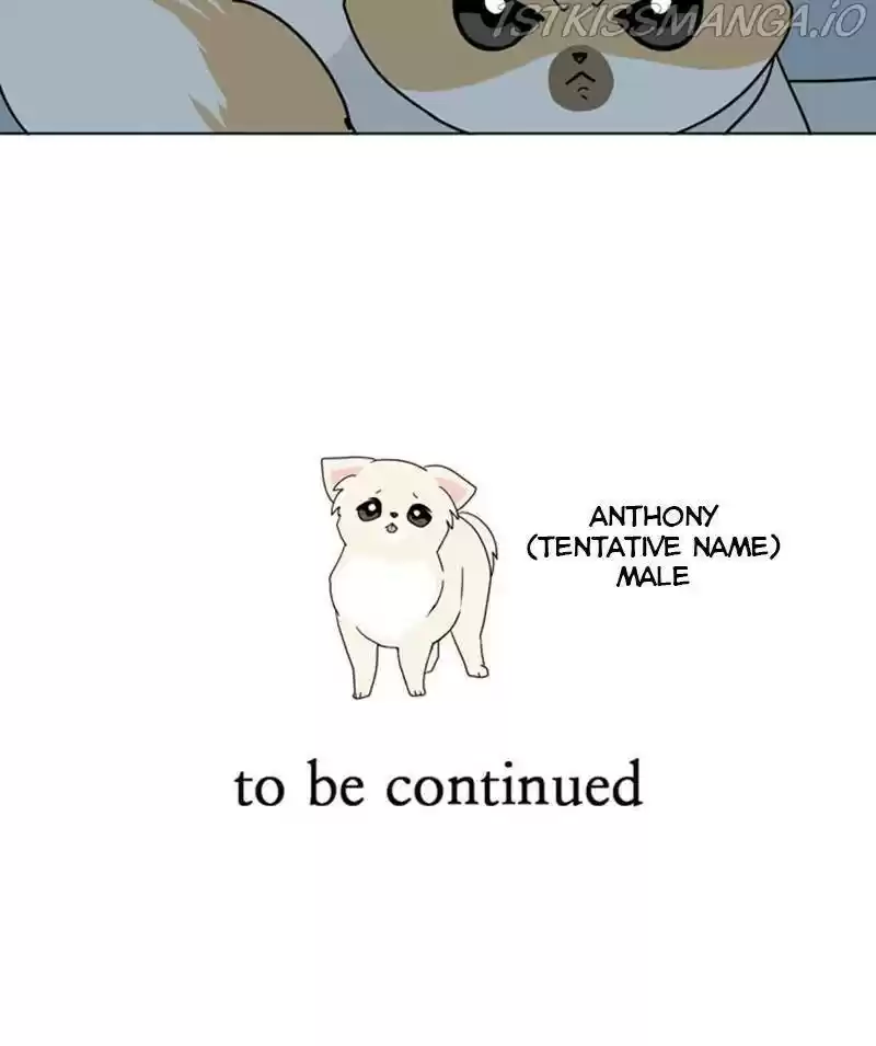 The Dog Diaries Chapter 26