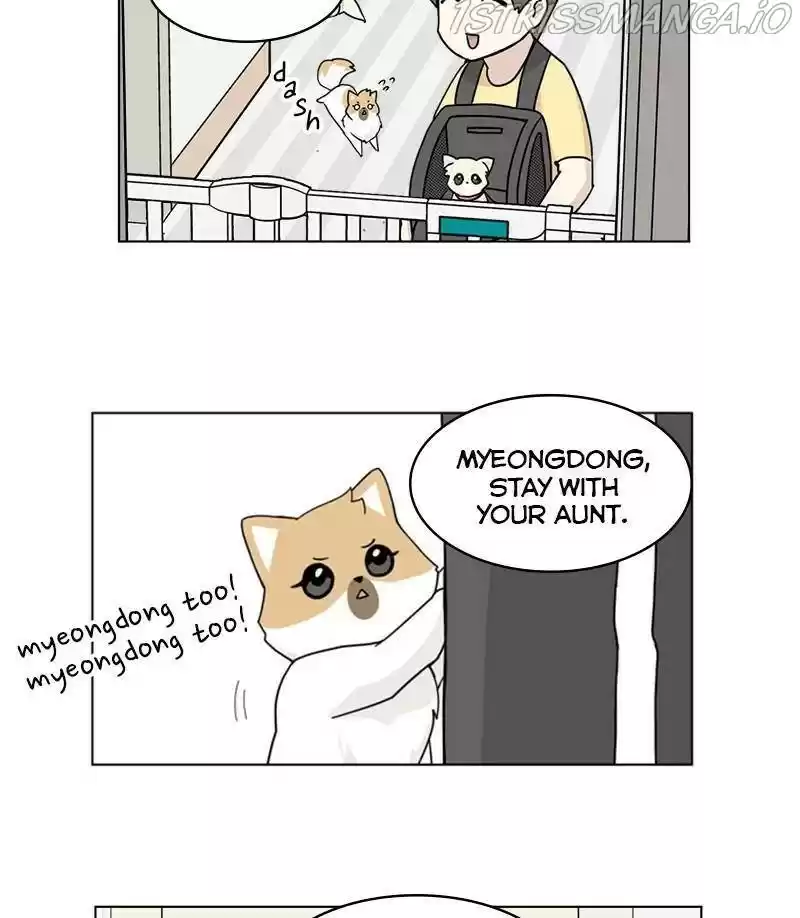 The Dog Diaries Chapter 27