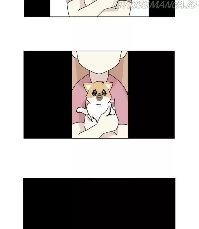 The Dog Diaries Chapter 27