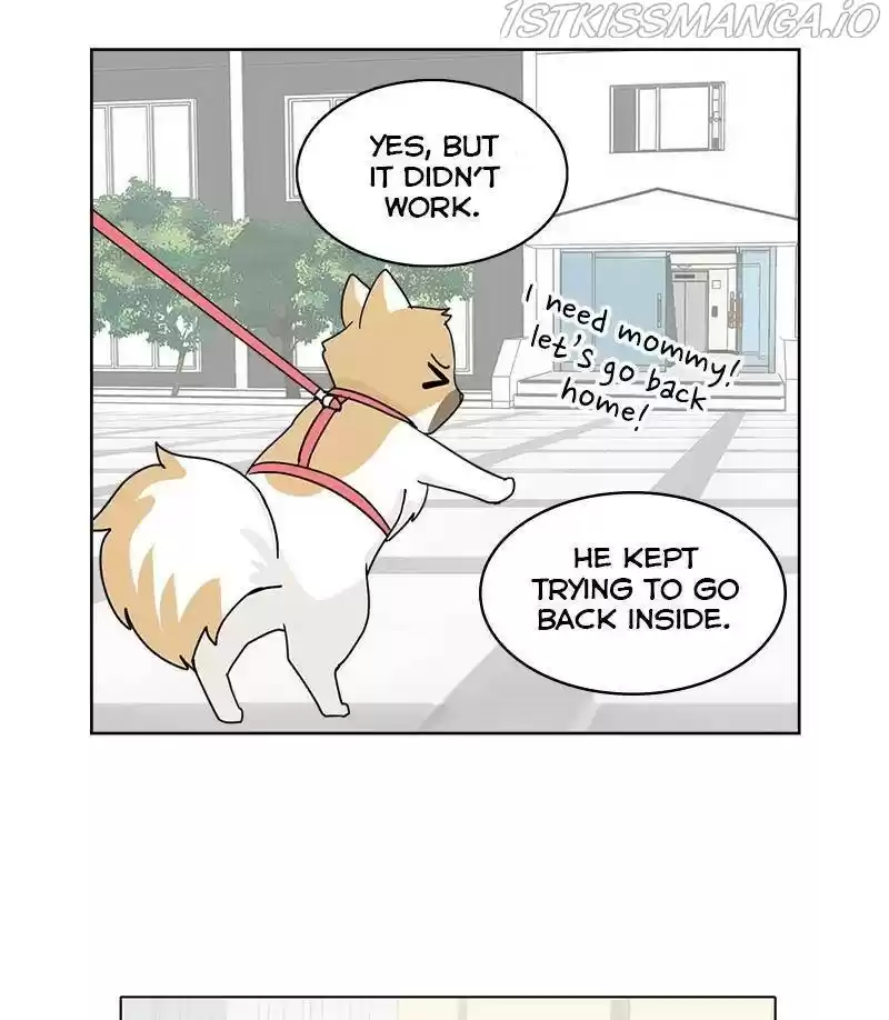 The Dog Diaries Chapter 27