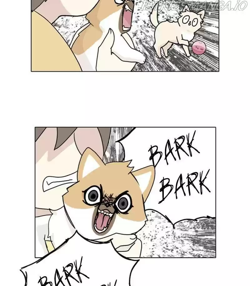 The Dog Diaries Chapter 27