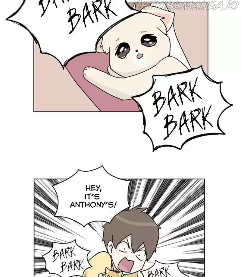 The Dog Diaries Chapter 27