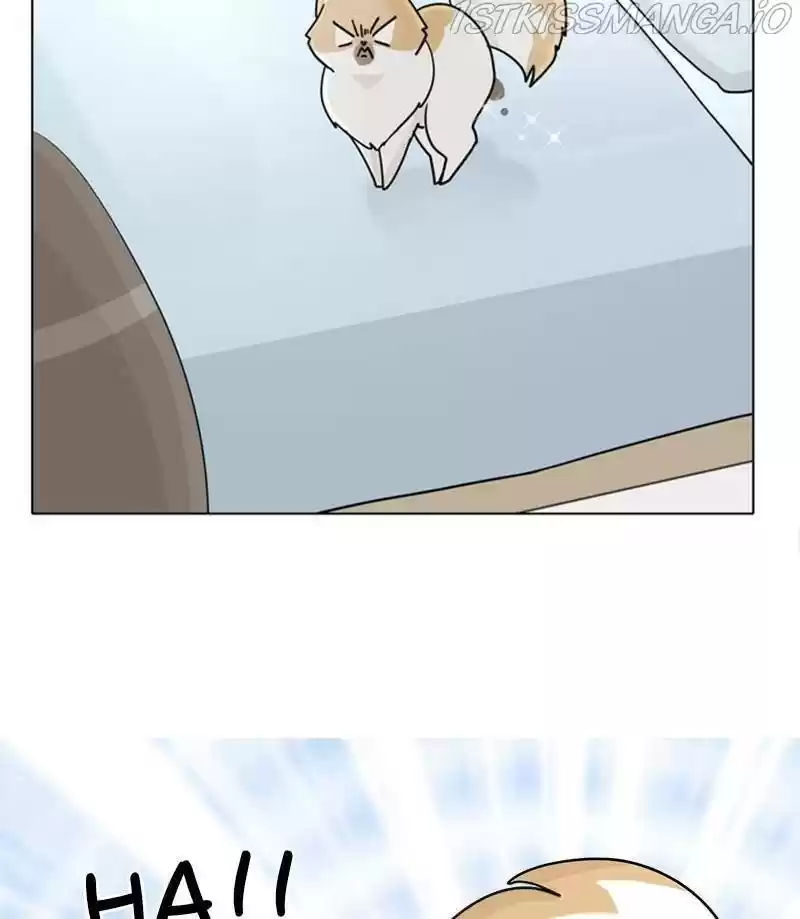 The Dog Diaries Chapter 27