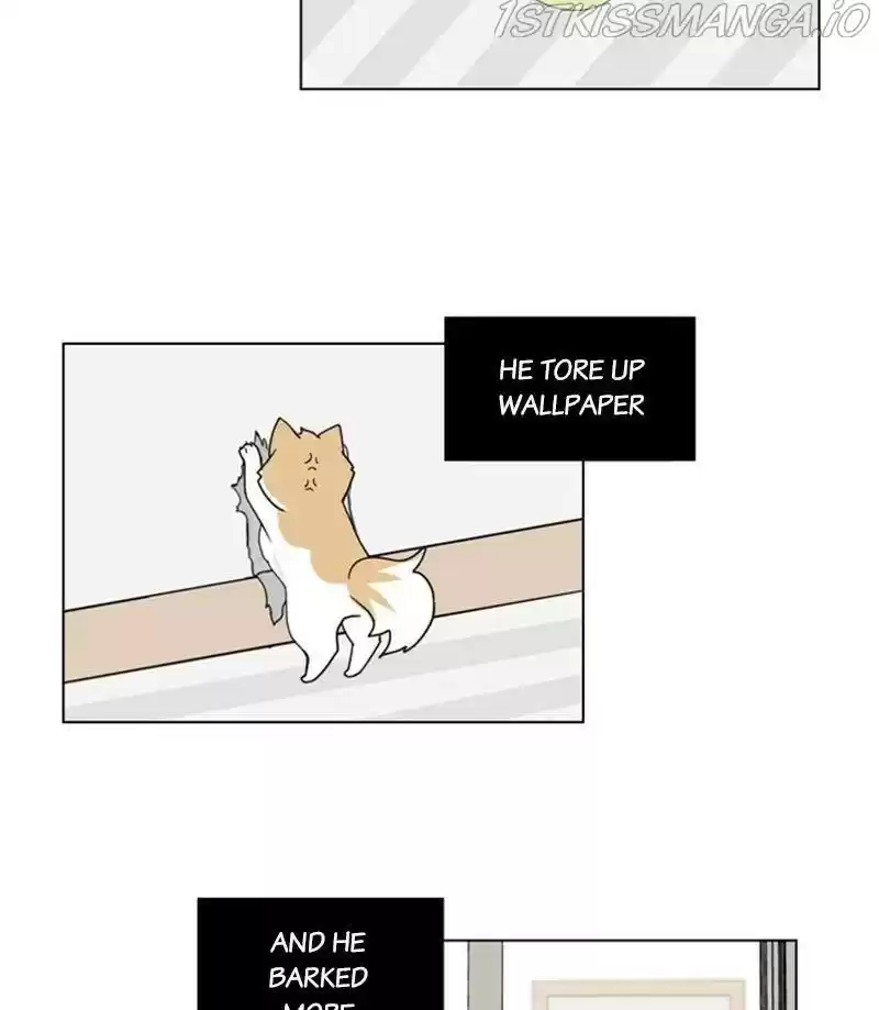 The Dog Diaries Chapter 27