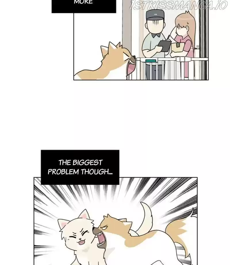 The Dog Diaries Chapter 27