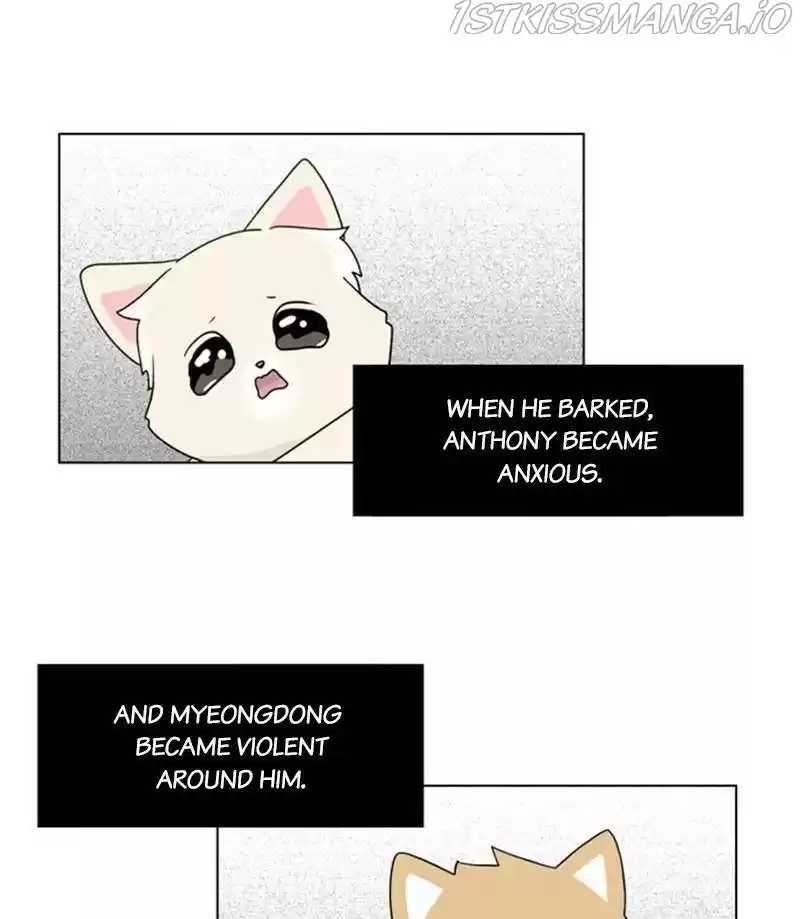 The Dog Diaries Chapter 27