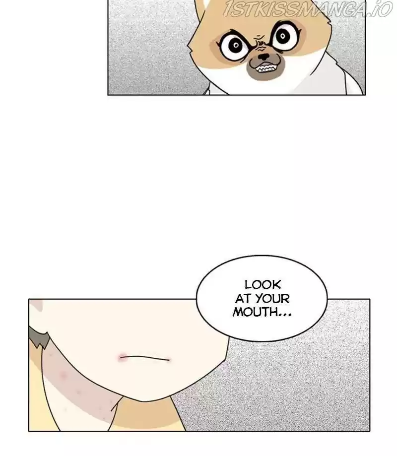 The Dog Diaries Chapter 27