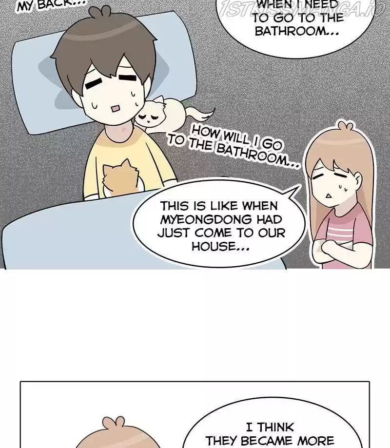 The Dog Diaries Chapter 27