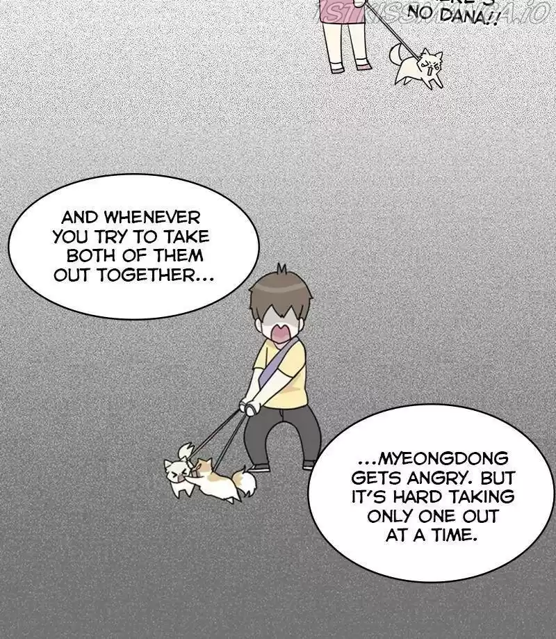 The Dog Diaries Chapter 27