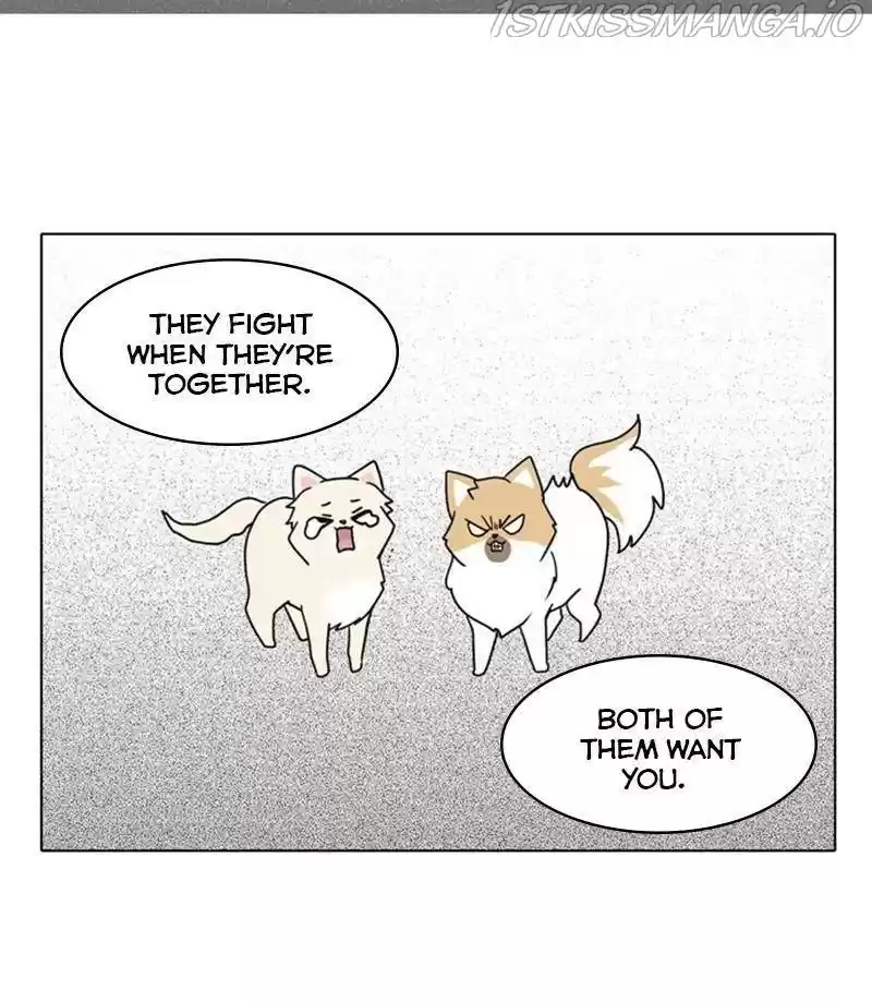 The Dog Diaries Chapter 27