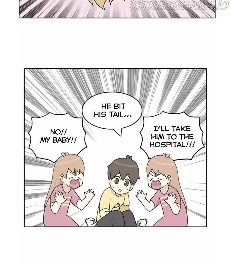 The Dog Diaries Chapter 27