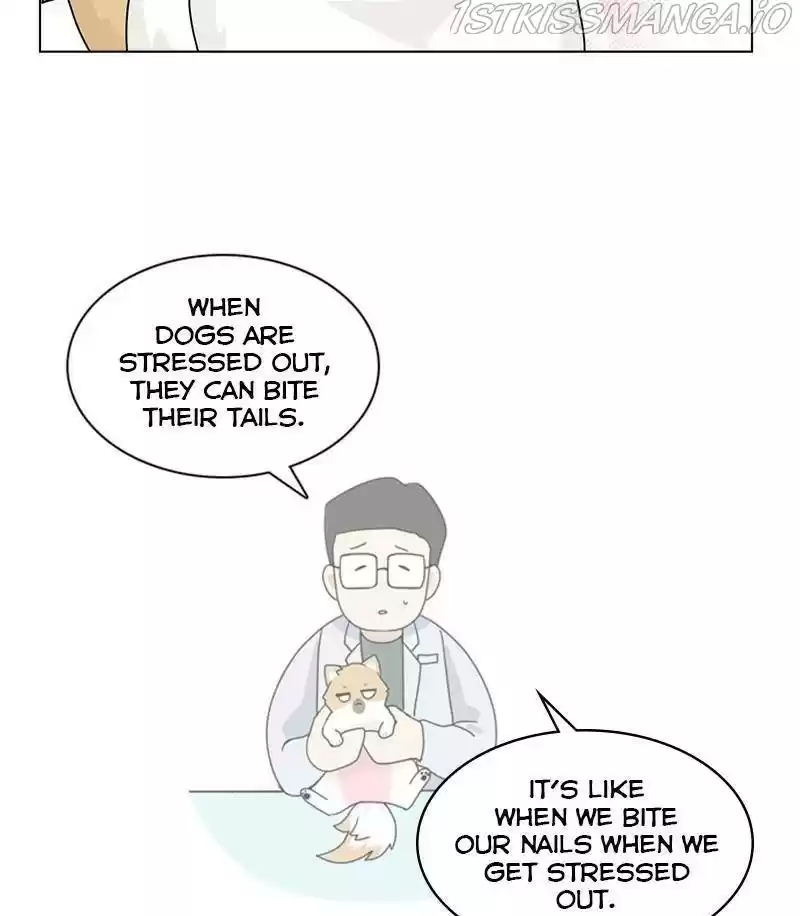 The Dog Diaries Chapter 28