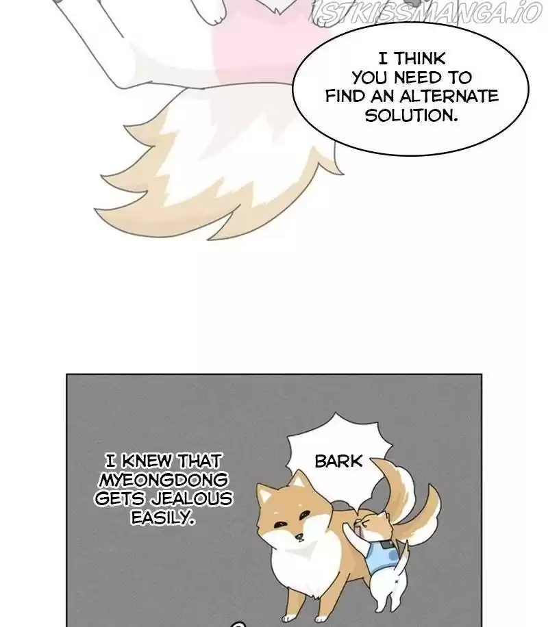 The Dog Diaries Chapter 28